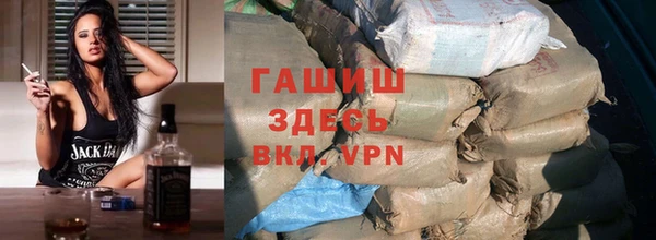 индика Бородино