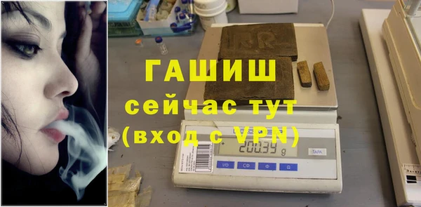 индика Бородино