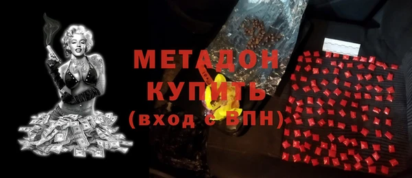 индика Бородино