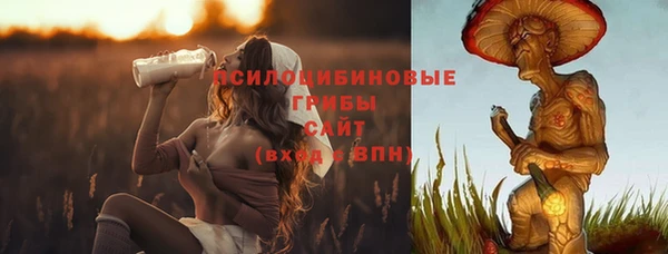 шишки Бронницы