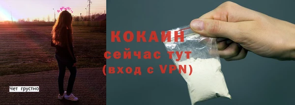 индика Бородино