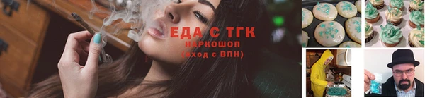 индика Бородино