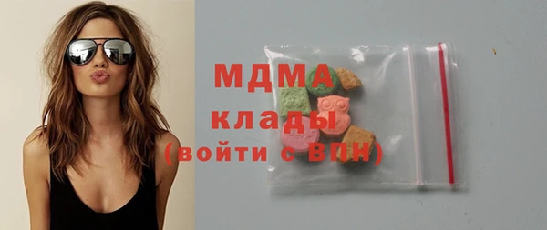 индика Бородино