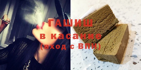 индика Бородино