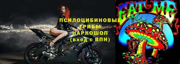 индика Бородино
