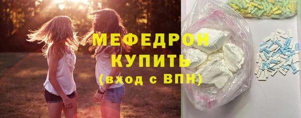 индика Бородино