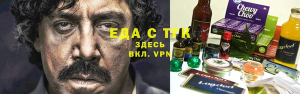 индика Бородино