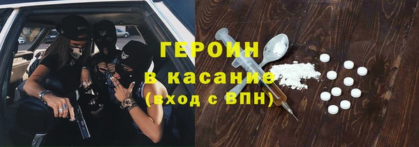индика Бородино
