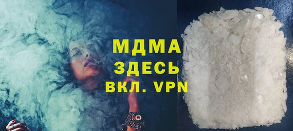 индика Бородино
