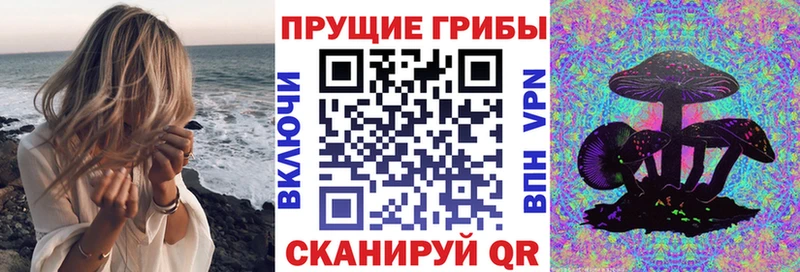 Псилоцибиновые грибы мухоморы  сколько стоит  Южно-Сахалинск 