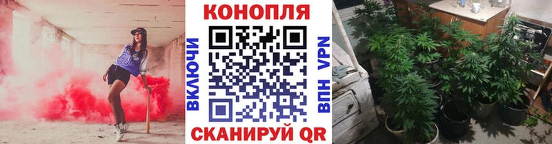 Каннабис индика  Южно-Сахалинск 